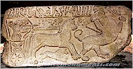 Lion hunt