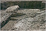 H.Ehringhaus
