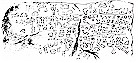source: E.Rossner - B.Leichtl