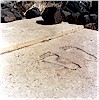 Footprints at the threshold of antecella - B. Claasz Coockson, 1992