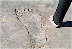 Right footprint at the threshold of the cella - I. Sebastian, 1997